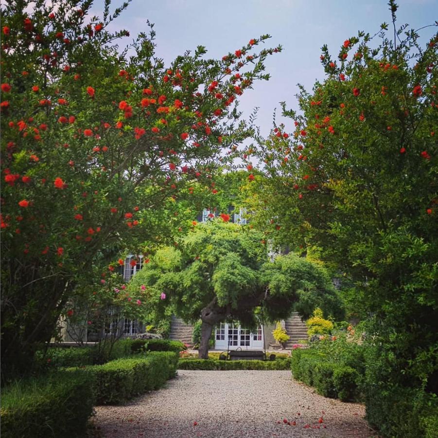 Chateau De Floure - Spa Et Piscine Exterieure Chauffee Carcassonne Ngoại thất bức ảnh